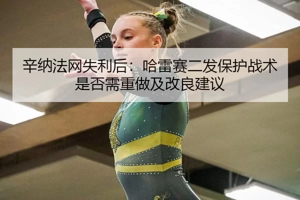 辛纳法网失利后：哈雷赛二发保护战术是否需重做及改良建议